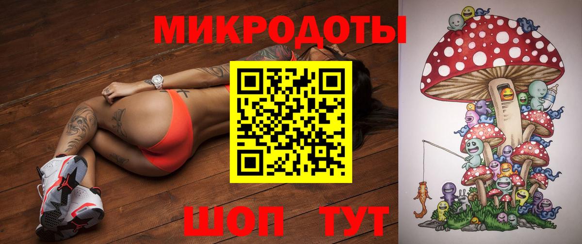 Качканар  Галлюциногенные грибы Psilocybe  Вход с VPN 